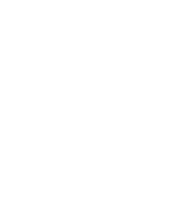 stevens logo